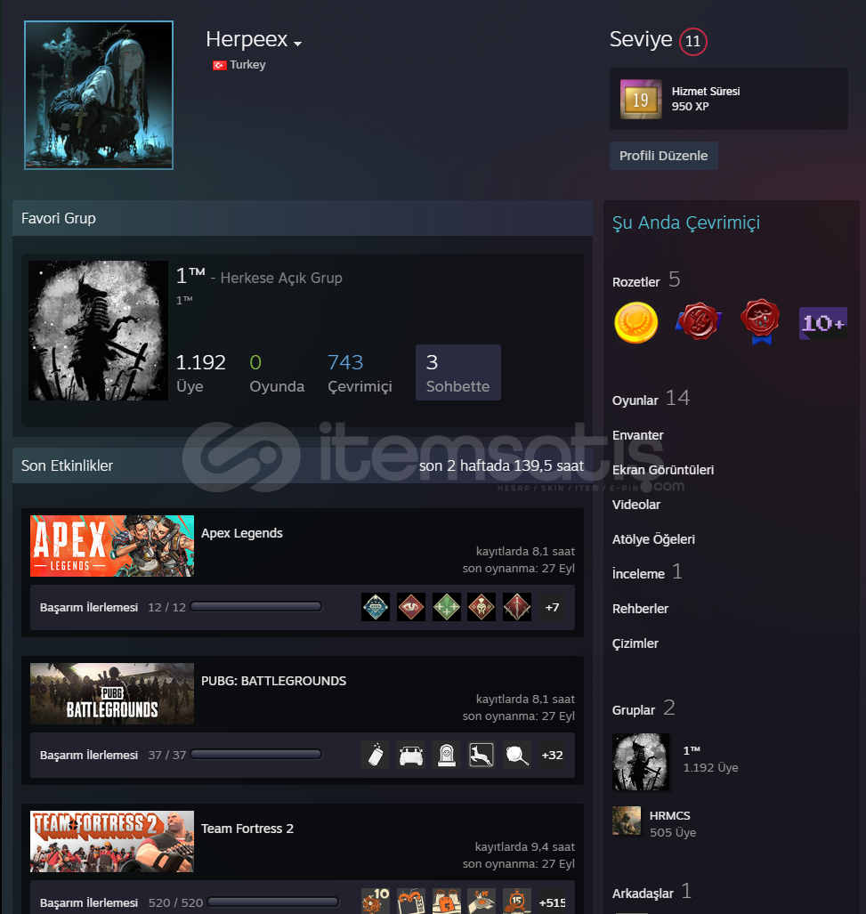 ⭐19YILLIK STEAM HESABI⭐ ⭐19YILLIK STEAM HESABI⭐