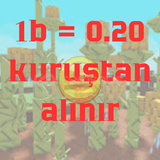 1b = 0.20kr