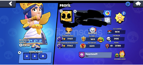 1GÜNEŞ77k95KARAKTER 370+ SKİN 17BPP36MAX 10K+TL