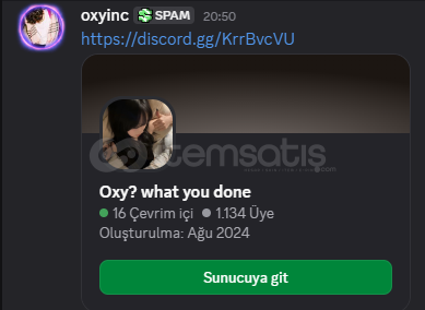 1K+ Üyeli Sunucu Direkt Devir 1K+ Üyeli Sunucu Direkt Devir
