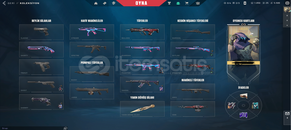 1K VP MAİNLEMELİK HARİKA HESAP