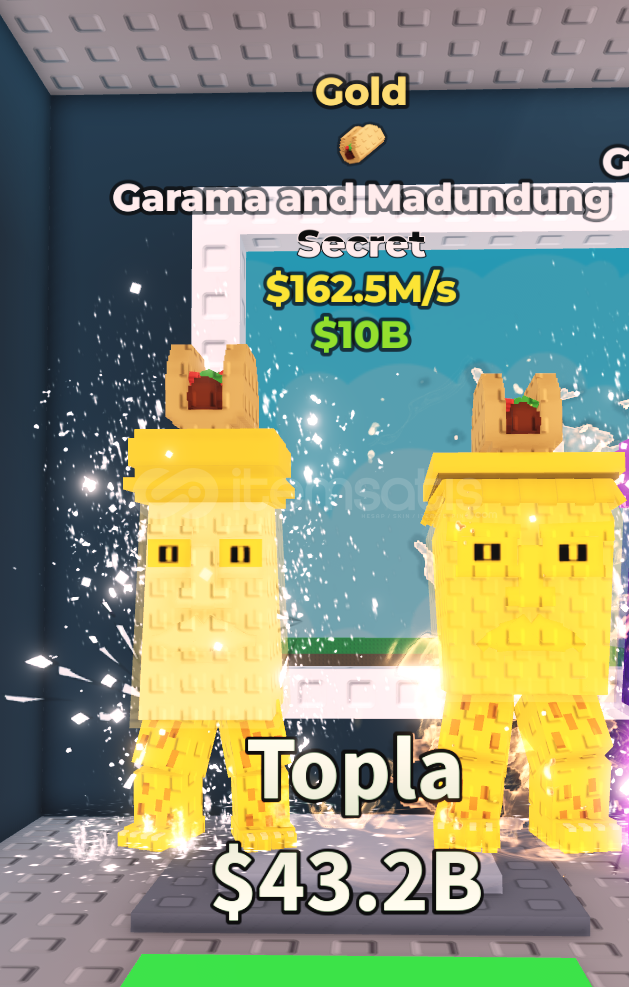 1x Golden Taco Traitli Garama And Madundung 1x Golden Taco Traitli Garama And Madundung