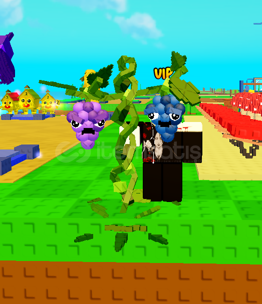 1x Grape 1x Grape