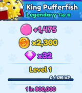 1x King Pufferfish BGSI