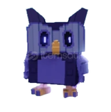 1x Night Owl