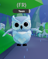 1x Snow Owl FR