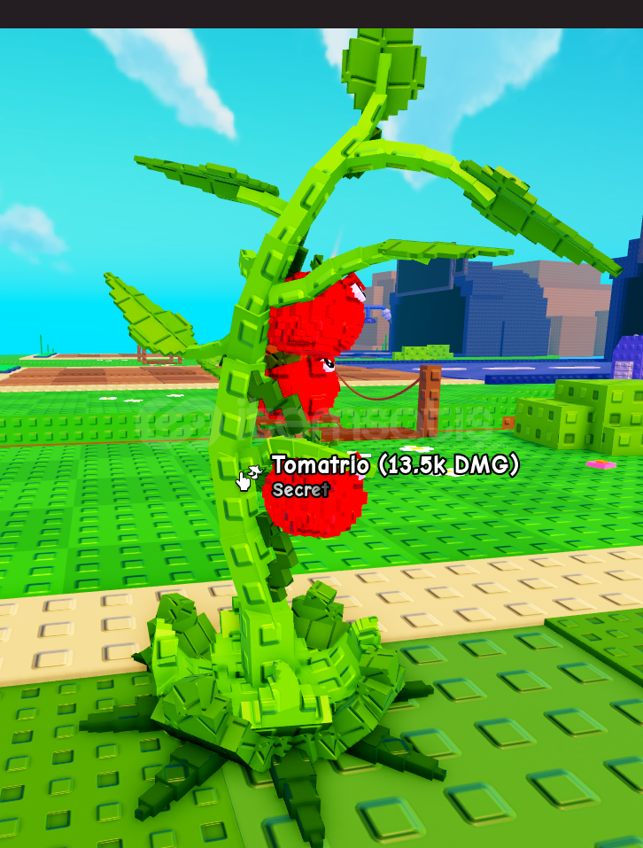 ⭐ 1x Tomatrio ⭐ ⭐ 1x Tomatrio ⭐