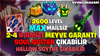 2-4 KIRMIZI MEYVE BLOXFRUİT 2600 LEVEL mythical