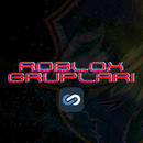2 Adet 30 Rollü Roblox Grubu