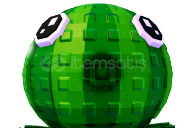 2 adet cocotank ve 2 adet watermelon 2 adet cocotank ve 2 adet watermelon