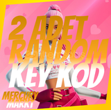 2 Adet Random Fortnite Skin Key & Anında