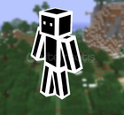 2 ADET SKİN MİNECRAFT SKİNİ 