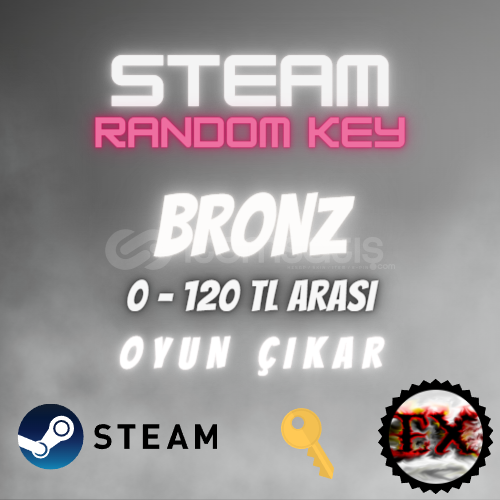 2 ADET STEAM BRONZ RANDOM KEY 2 ADET STEAM BRONZ RANDOM KEY