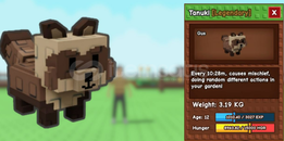 2 ADET TANUKI! (GROW A GARDEN)