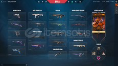 2 BIÇAK 2 VANDAL PHANTOM 45 SKİNLİ DOLU HESAP