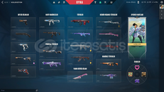 2 BIÇAK VANDAL SHERİFF 38 SKİNLİ DOLU HESAP