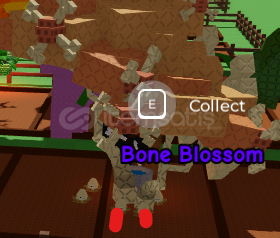 2 Candy Bloosum 2 Bone blosumlu Hesap 2 Candy Bloosum 2 Bone blosumlu Hesap