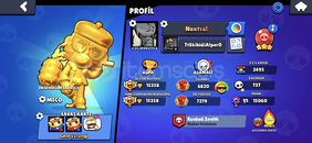 2 Kral Frankli 20 Saf Altın Skinli Hesap