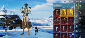 2 Nihai/2 X Suit /BUZ 7/80 DESTANSI