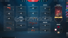 2 premium bıc 2 vandal 2 phantom dolu mailli