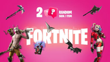 2 Random Fortnite Skin / Item Kodu Key