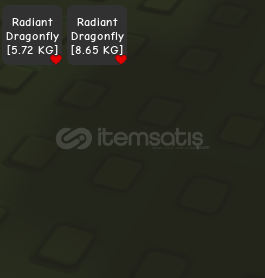 2 tane radiant dragon fly  2 tane radiant dragon fly