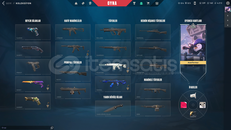 2 VANDAL 2 PHANTOM 10 SKİNLİ DOLU HESAP 2 VANDAL 2 PHANTOM 10 SKİNLİ DOLU HESAP