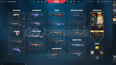 2 VANDAL 2 PHANTOMLU HESAP!!