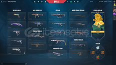 2 VANDAL+BATTLPASS+1100VP+820 RADYANİT MAİLLİ