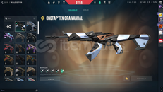 2 vandallı valo hesap