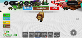 1 x lion 1 x swan grow a garden