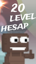 20 LEVEL HESAP 