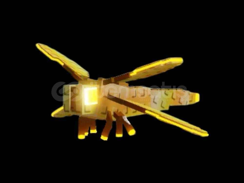 20 tlye dragon fly hemen verilir 20 tlye dragon fly hemen verilir