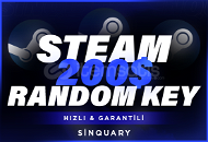 +200$ (6000₺) Steam Key / Oto - Teslimat