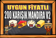 200 KARIŞIK MANDIRA V2