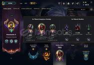 200+ KOSTÜM 212 RENK 592 LVL 235K ÖZ ZED OTP