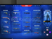 200 seviye skinli platin hesap