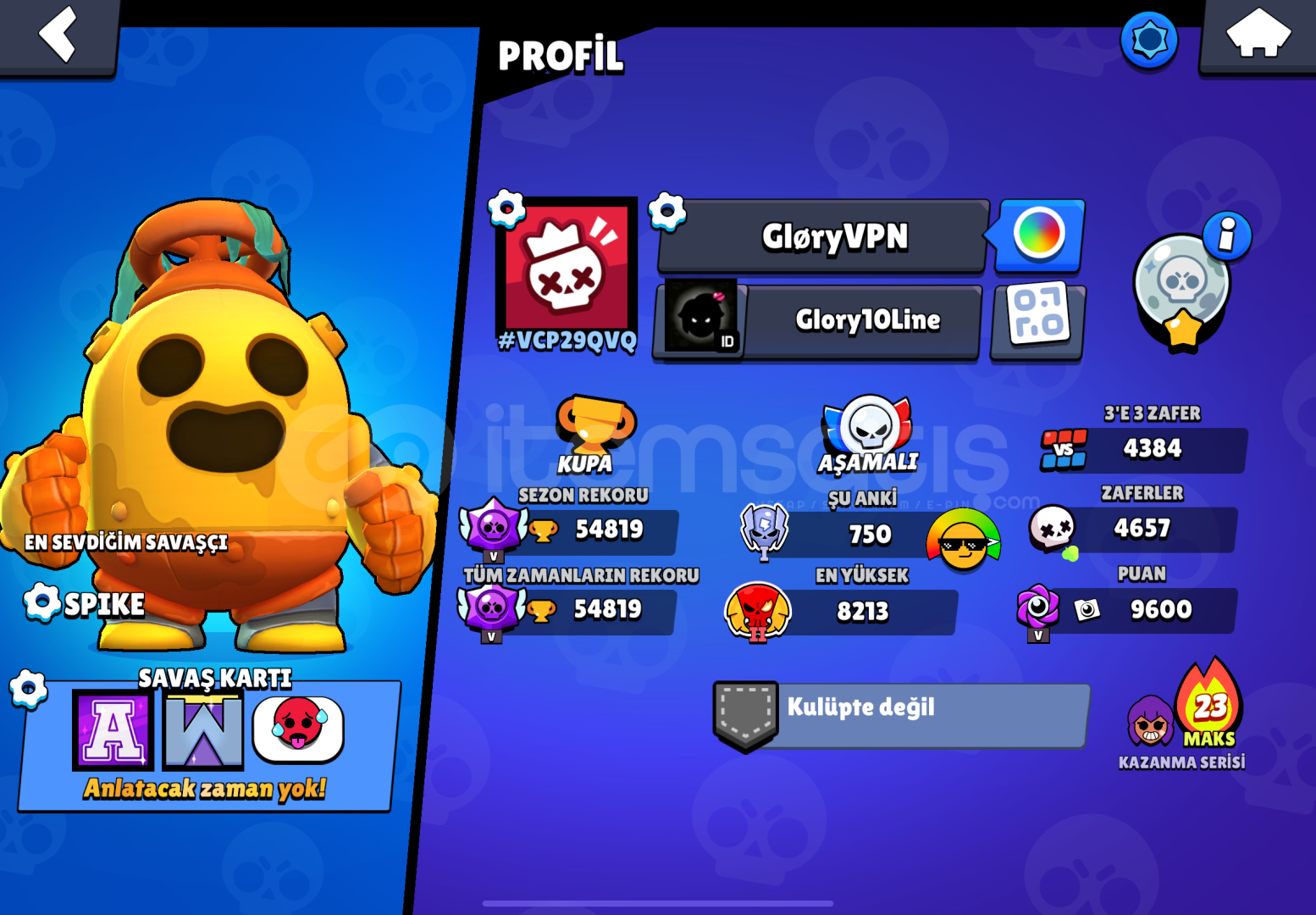 +200 skinli 55k Brawl Stars Hesabı