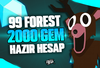 2000-2500 GEMSLİ HESAP 99 NIGHT IN THE FOREST