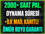 ⭐️2000+ SAAT PALADİNS STEAM❤️+İLK MAİL❤️