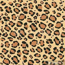 2013 İNSTAGRAM + KURUCU MAİL