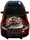 2017 HP YANARDÖNER KROM NADİR ÇİZİMLİ F90 CP2