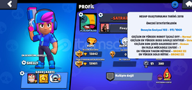 2018 KURULUM + YILDIZ SHELLY 13K KUPA BS HESAP