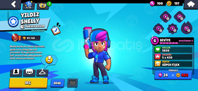 2018 Star Shelly 1336 Kupa