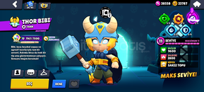 2019 14k temiz ve isim ücretsiz değişim