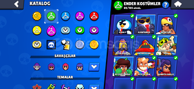 2019 80K DOLU NADİR HESAP