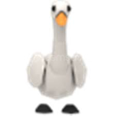 2019 Winter Uptade den Kalma Swan