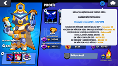 2020 Brawl Stars Hesabı + 9 yıllık clash royale 
