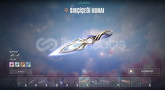 2025 CHAMPİONS SETLİ HESAP