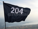 .gg/204